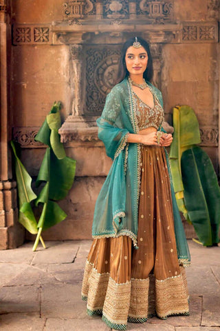 Featuring a mocha brown embroidered flared lehenga in zari tissue base with zari, pearls and sequins embroidered thick border. It is paired with a matching hand embroidered blouse in tissue base with deep V-neckline and elbow length sleeves. It comes with a complimenting teal colored silk organza dupatta with gota lace border on all sides. Designer - Ivory By Dipika.
