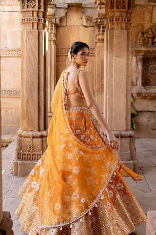 Featuring a tangerine hand embroidered lehenga in silk base with chiffon floral patchwork, dori and resham embroidery with sequins and pearls. It is paired with a matching hand embroidered tangerine sleeveless blouse in silk with deep V-neckline. It comes with a tangerine embroidered organza dupatta. Designer - Ivory By Dipika
