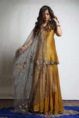 Featuring a straight Kurta and Sharara set Paired with a Dupatta, hand embroidered with intricately designed Chakra motifs. Designed by Mona and Vishu.