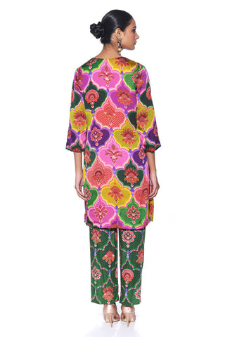 The look from the back of the multi-color royal paisley pattern kurta pant co-ord set women dress.