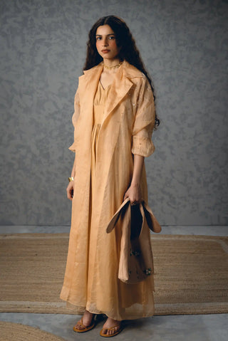 Elegant Nude Inaya women's dress crafted in modal silk and complemented by a sheer organza jacket, offering a soft modern designer look for cocktail parties and evening.