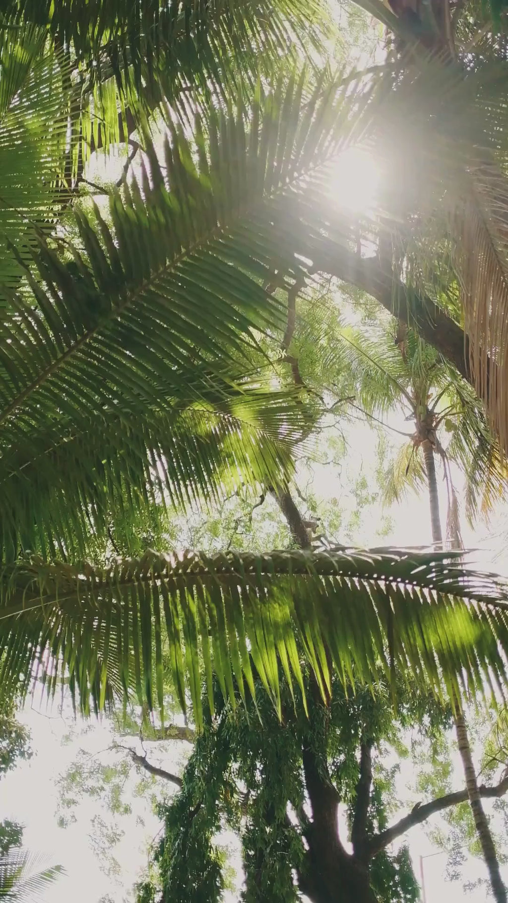 Paulmi and Harsh designed stunning wrap around dress in green floral is perfect women outfit for brunch lunch beach resort parties or outtings