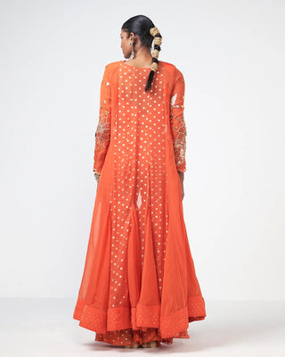 Back look highlighting the flowing cape silhouette of the Dhadak Set.