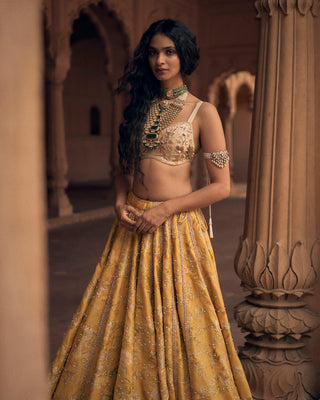 This lime yellow lehenga set is perfect for wedding ceremony's like haldi or sangeet night. This can be a bride lehenga or bridesmaid or bride or groom's sister lehenga.