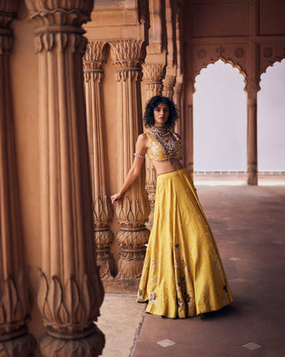 A perfect look for wedding events or ceremony celebration. A dress for haldi/Sangeet for bride or bridesmaid or groom sister. Can be wore by bride's or groom's sisters for wedding day as well.